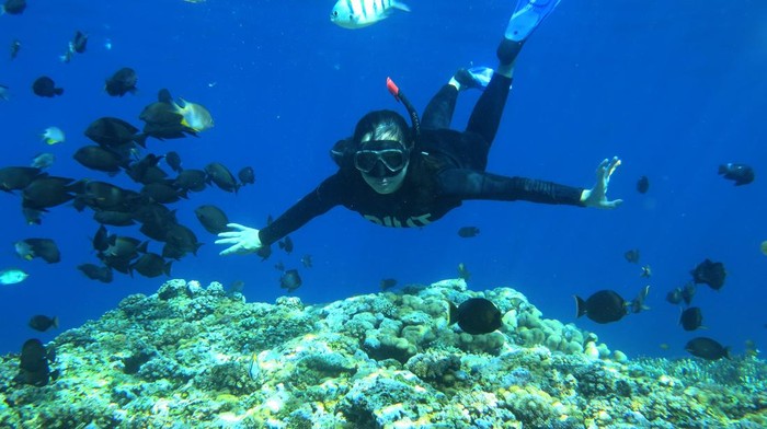 Sejumlah pengunjung melakukan snorkeling di objek wisata Taman Laut Olele, Kabupaten Bone Bolango, Gorontalo, Minggu (12/3/2023). Taman Laut Olele menjadi salah satu destinasi wisata bahari unggulan Provinsi Gorontalo yang memiliki hamparan terumbu karang yang sehat dengan beragam jenis ikan.