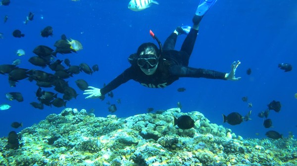 Taman Laut Olele menjadi salah satu destinasi wisata primadona bahari unggulan Provinsi Gorontalo yang paling tersohor dan memiliki hamparan terumbu karang yang sehat serta beragam jenis ikan.