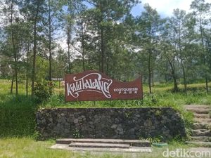 Merapi Gugurkan Awan Panas, Rute Tracking di Kali Talang Klaten Dibatasi