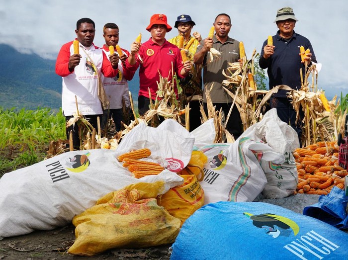 Papua Youth Creative Hub