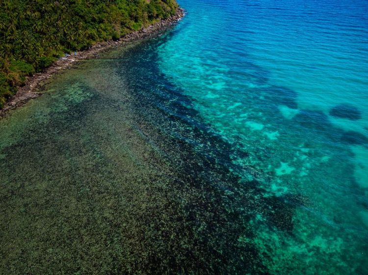 Parah! Laut Filipina Tercemar Minyak Gara-gara Kapal Karam
