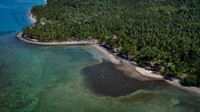 Disebutkan juga oleh Dolor bahwa sedikitnya 19.956 keluarga atau lebih dari 99.000 individu telah terdampak tumpahan minyak itu.