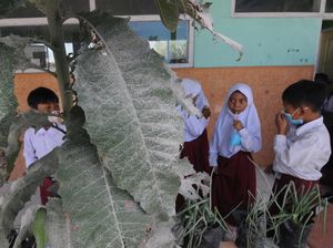 Erupsi Anak Krakatau, Siswa di Lampung Belajar Daring Selama 2 Hari