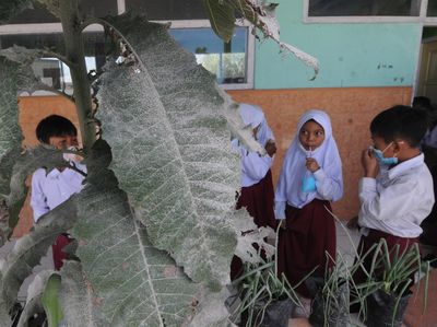 Hujan Abu Erupsi, Begini Aktivitas Sekolah di Lereng Gunung Merapi