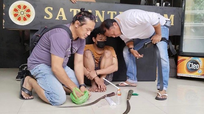 Anggota gangster yang diamankan gegara konsumsi narkoba setelah tawuran berhasil digagalkan