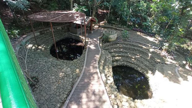 Babakan Siliwangi Forest Walk