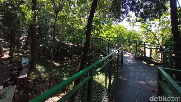 Babakan Siliwangi Forest Walk