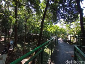 Forest Walk Babakan Siliwangi, Nuansa Hutan di Jantung Bandung