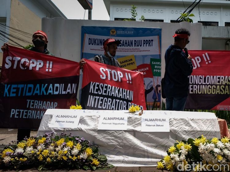 Bawa Keranda Mayat, Peternak Ayam Geruduk Komnas HAM