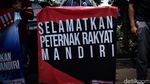 Bawa Keranda Mayat, Peternak Ayam Geruduk Komnas HAM