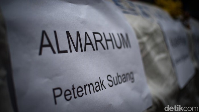 Bawa 'Keranda Mayat', Peternak Ayam Geruduk Komnas HAM Massa peternak ayam berunjuk rasa di depan kantor Komnas HAM, Jakarta, Senin (13/03/2023). Mereka turut membawa 'keranda mayat'.