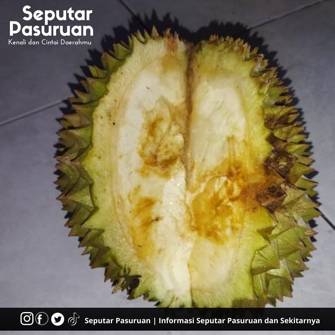 Beli durian zonk