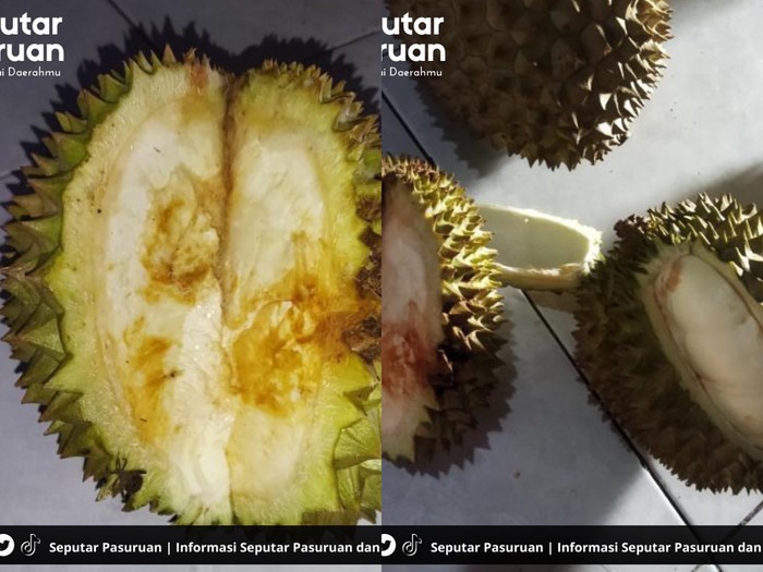 Beli durian zonk