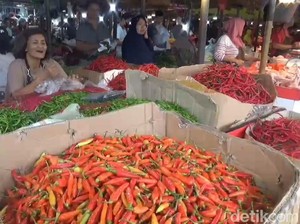 Harga Cabai Setan di Pasar Jambi Melonjak hingga Rp 80 Ribu/Kg