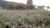 Kepala Unit Pelaksana Teknis (UPT) Pengelola Wisata Dieng Sri Utami. Ia menyebut embun es ini merupakan yang kali pertama terjadi di tahun 2023. Iya pagi ini ada embun es di Dieng. Dan ini merupakan yang pertama di tahun 2023, kata Utami, Senin (13/3/2023). Foto: dok. pelaku wisata Dieng, Dhimas F