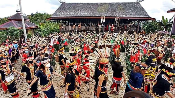 Ilustrasi Masyarakat Adat Nasional