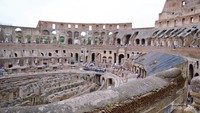 Koloseum digunakan untuk pertunjukan gladiator dan pertarungan hewan yang brutal.
