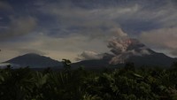 Sebagaimana diketahui, Gunung Merapi erupsi mulai Sabtu (11/3) kemarin. Sementara itu pada Minggu (12/3) pagi, Merapi masih menyemburkan awan panas hingga 2,5 kilometer ke arah barat daya.