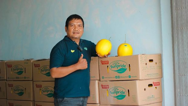 Melon Kinanti di Hortimart Agro Center Jawa Tengah
