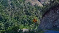 Kementerian juga mengeluarkan sejumlah persyaratan seperti, Pemerintah Aceh harus mengawasi ancaman kerusakan hutan akibat illegal logging. Juga, tidak menebang pohon dalam kawasan hutan dengan radius atau jarak 200 meter dari tepi dan kiri kanan sungai dan 50 meter dari kiri kanan tepi anak sungai.