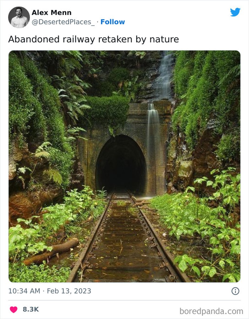 Potret Bangunan Terbengkalai, Seram dan Misterius