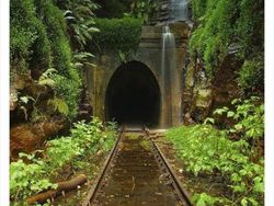 Potret Bangunan Terbengkalai, Seram dan Misterius