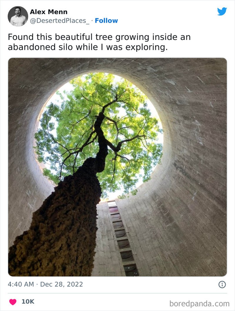 Potret Bangunan Terbengkalai, Seram dan Misterius