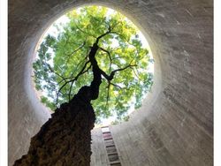 Potret Bangunan Terbengkalai, Seram dan Misterius