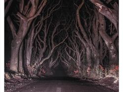 Potret Bangunan Terbengkalai, Seram dan Misterius