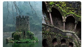 Terletak di Kota Sintra, Portugal sebuah kastil di tengah danau yang penuh dengan lumut. Foto: Boredpanda/Twitter/ALex Menn