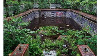 Alam mengambil alih kolam di rumah besar yang ditinggalkan. Foto: Boredpanda/Twitter/ALex Menn
