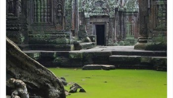 Sebuah kuli yang terbengkalai di hutan Foto: Boredpanda/Twitter/ALex Menn