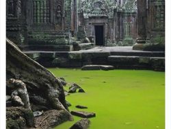 Potret Bangunan Terbengkalai, Seram dan Misterius