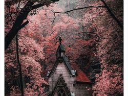 Potret Bangunan Terbengkalai, Seram dan Misterius