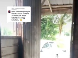 6 Potret Rumah Kayu Viral, Awalnya Kumuh Jadi Mewah Usai Renovasi Sederhana