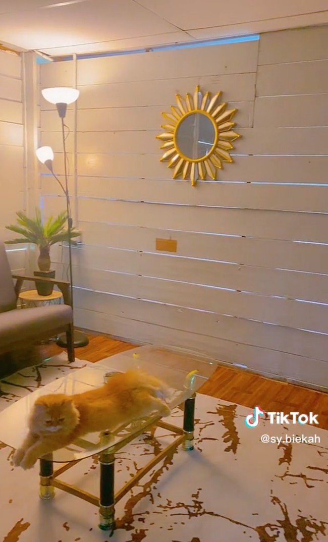 Dalam salah satu unggahan, sang pemilik rumah mengatakan jika dirinya awalnya mengecat tembok papan rumah tersebut menggunakan warna putih terlebih dahulu, baru setelahnya kembali di cat menggunakan cat minya warna abu-abu. asalnya rumah ni pondok dalam kebun😊..saya cat undercout putih dulu baru cat minyak warna grey..cara nak cuci saya tak pandai sebab saya main cat saja, ungkap sang pengunggah video. Foto: TikTok/@sy.biekah