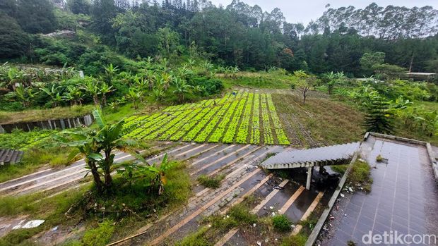 Sisa-sisa kejayaan Kampung Gajah di Kabupaten Bandung Barat