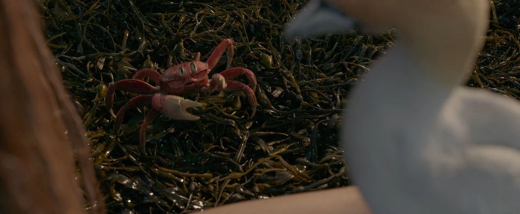 Trailer live action Disney The Little Mermaid.