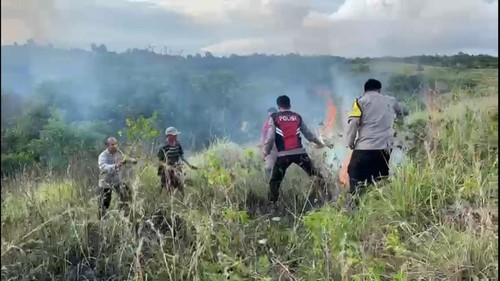 Lahan seluas 3 ha di Bukit Teletubbies Nusa Penida terbakar pada Selasa (14/3/2023). Api berhasil dipadamkan pada pukul 18.30 Wita.