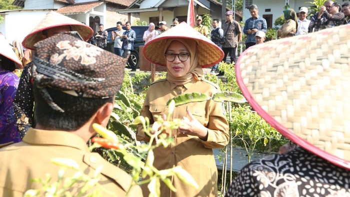 bupati ipuk