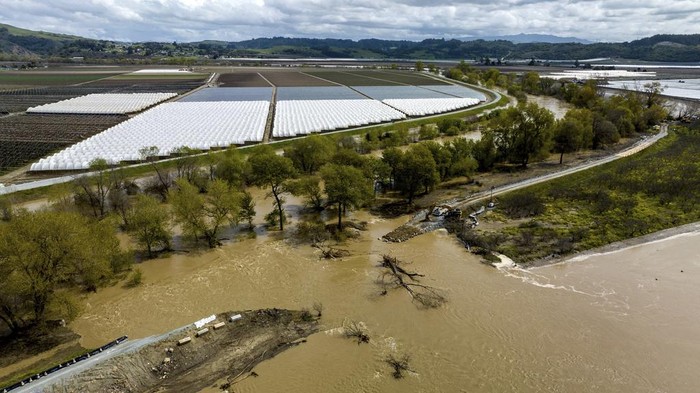 Foto Udara Banjir California Imbas Cuaca Buruk-Tanggul Jebol Water flows through a levee breach near the Aromas community in Monterey County, Calif., on Monday, March 13, 2023. The break caused widespread flooding in the Pajaro community nearby. (AP Photo/Noah Berger)