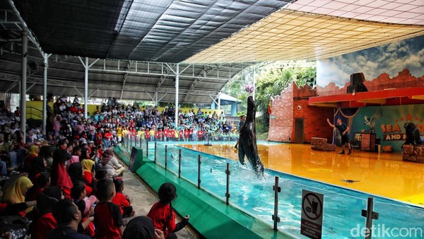 Selain wisatawan nusantara, target wisatawan mancanegara juga naik dari 5,5 juta di tahun 2022 menjadi 7,4 juta di tahun 2023. Selain wisatawan nusantara, target wisatawan mancanegara juga naik dari 5,5 juta di tahun 2022 menjadi 7,4 juta di tahun 2023.