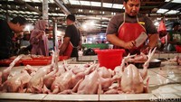 Menurut keterangan pedagang, saat ini harga ayam di pasar tersebut telah mengalami kenaikan. Harga satu ekor ayam ukuran kecil mengalami kenaikan dari Rp 30.000 menjadi Rp 35.000.