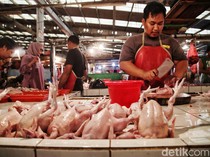 Harga Ayam Disebut Melonjak Gara-gara Program MBG