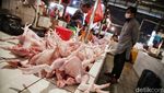Harga Ayam Potong Merangkak Naik Jelang Ramadan
