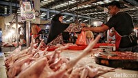 Menurut pedagang, semua harga ayam potong mengalami kenaikan Rp 5.000.