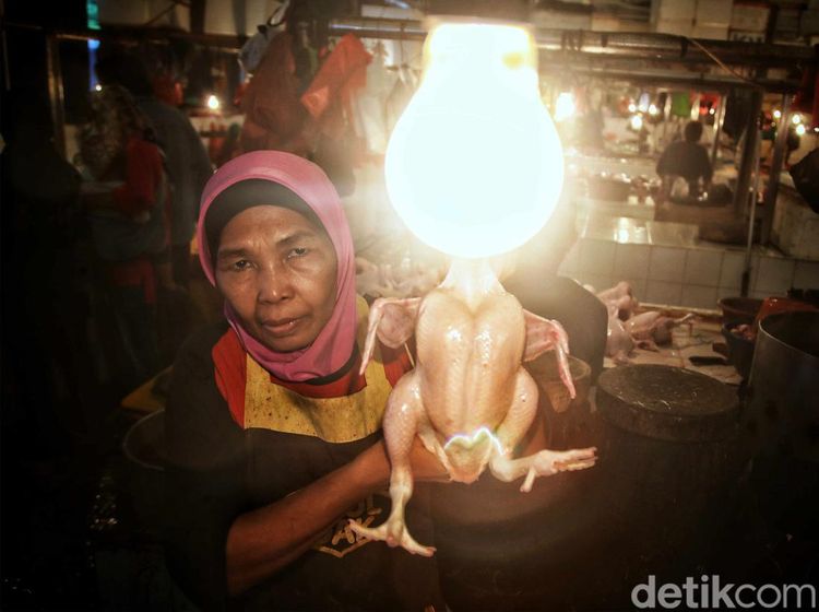 Harga Ayam Potong Merangkak Naik Jelang Ramadan