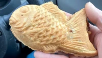 Begini penampakan taiyaki buatan Nippon Ichi Taiyaki. Menurut Mr. Sato, reporter Sora News 24, penampakannya tak jauh beda dengan kebanyakan taiyaki lain.