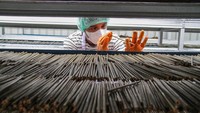 Pekerja melakukan proses penjemuran sedotan. Dalam melakukan proses produksi ini, pekerja menggunakan perlengkapan APD seperti sarung tangan, masker, sepatu bot dan penutup kepala.