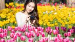 Lihat Tulip Nggak Usah Jauh-jauh ke Belanda, China Juga Punya!